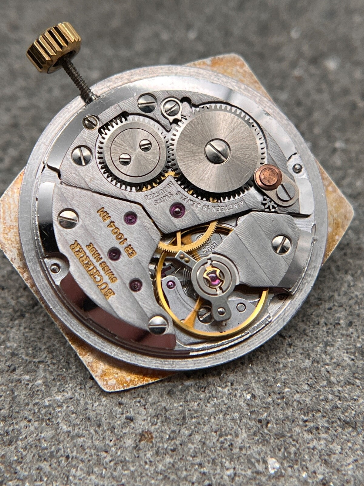 Image #6