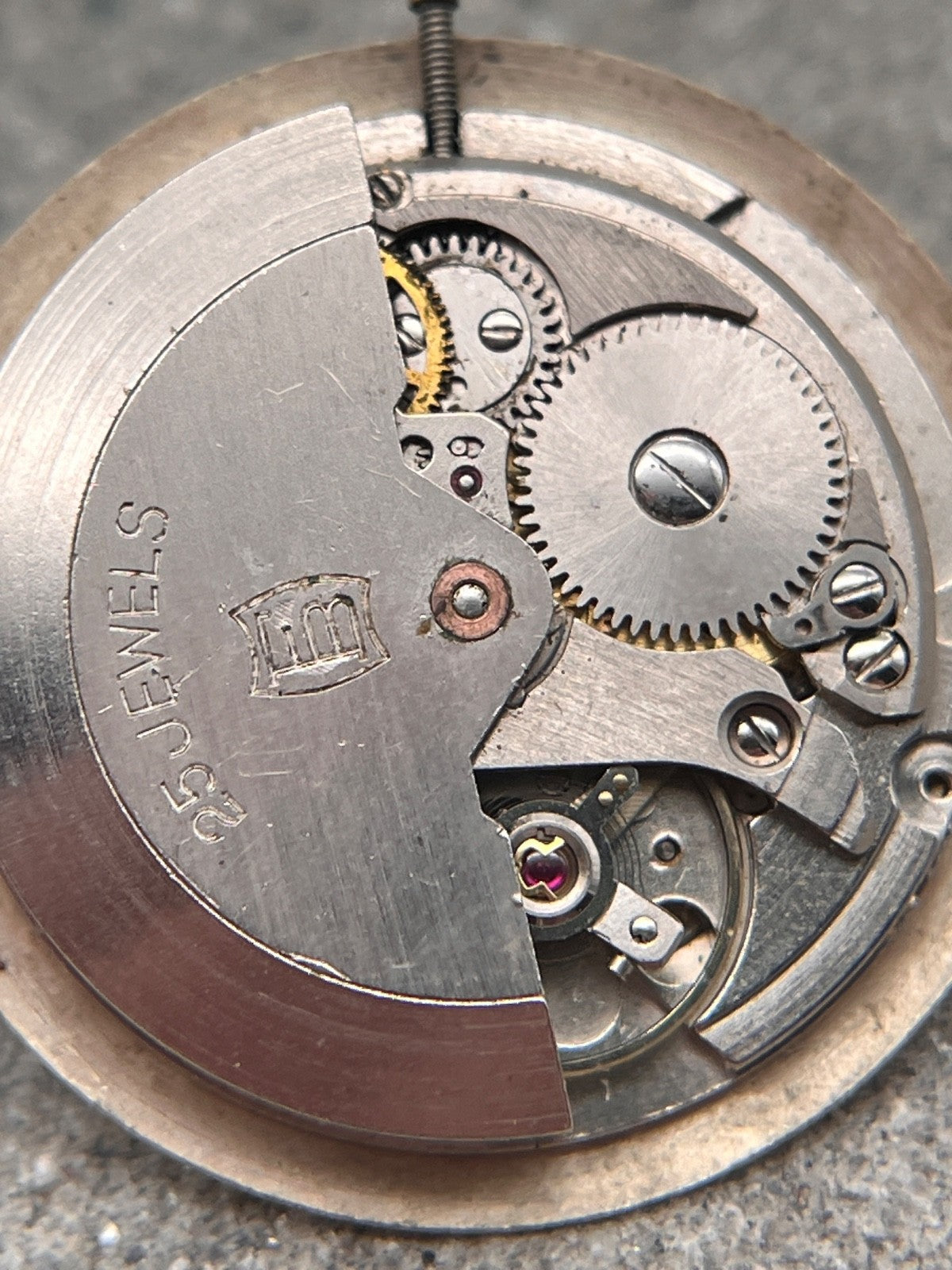 Image #3