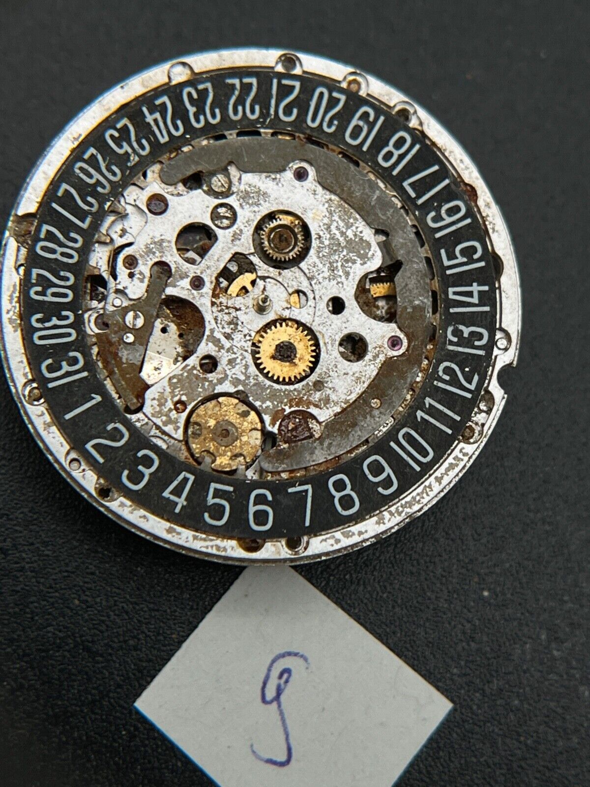 Image #3