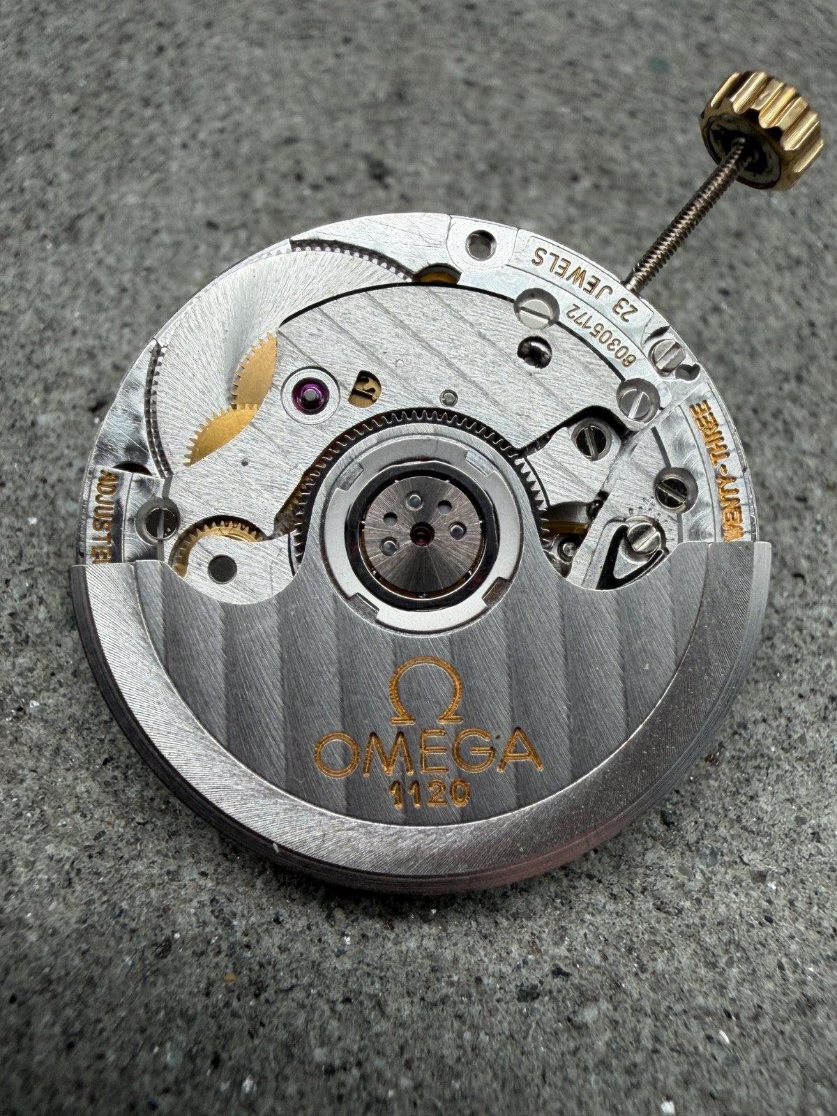 Image #3