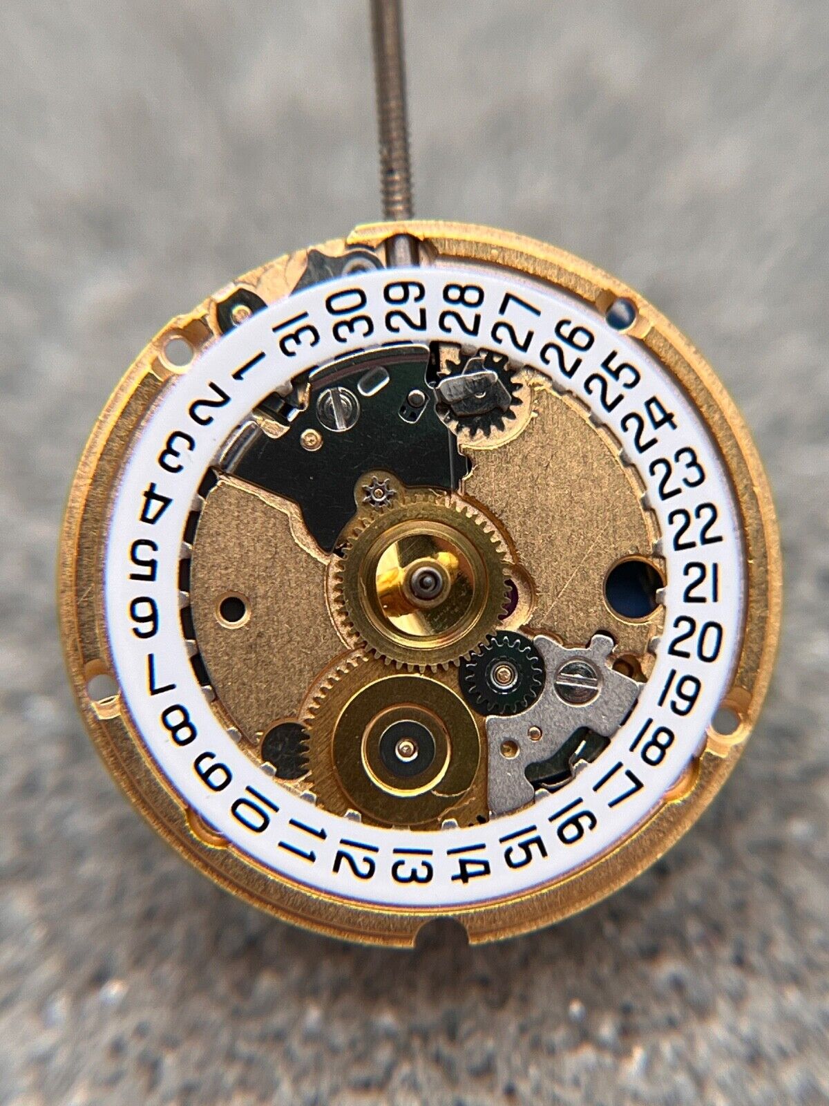 Image #4
