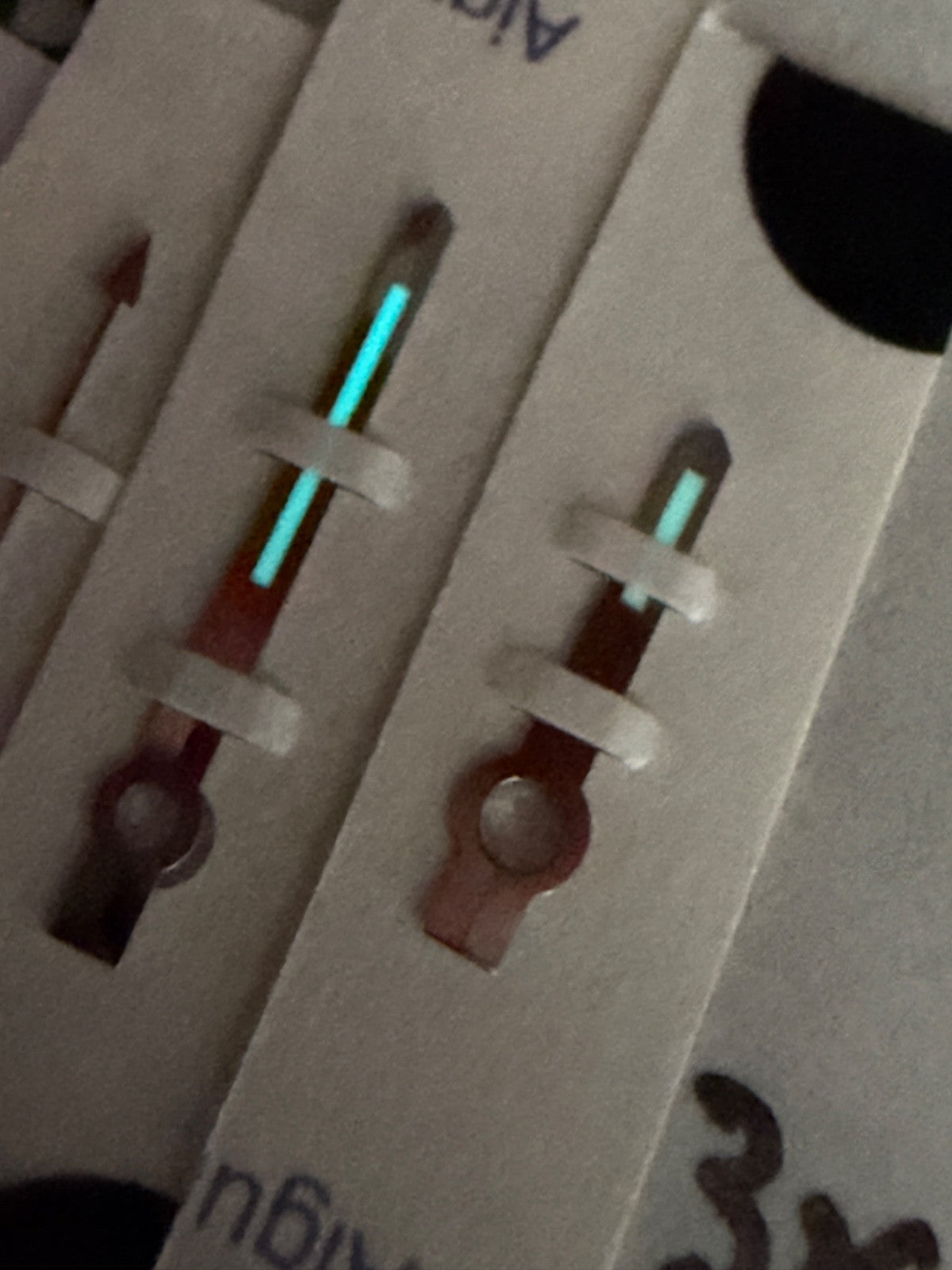 Image #10