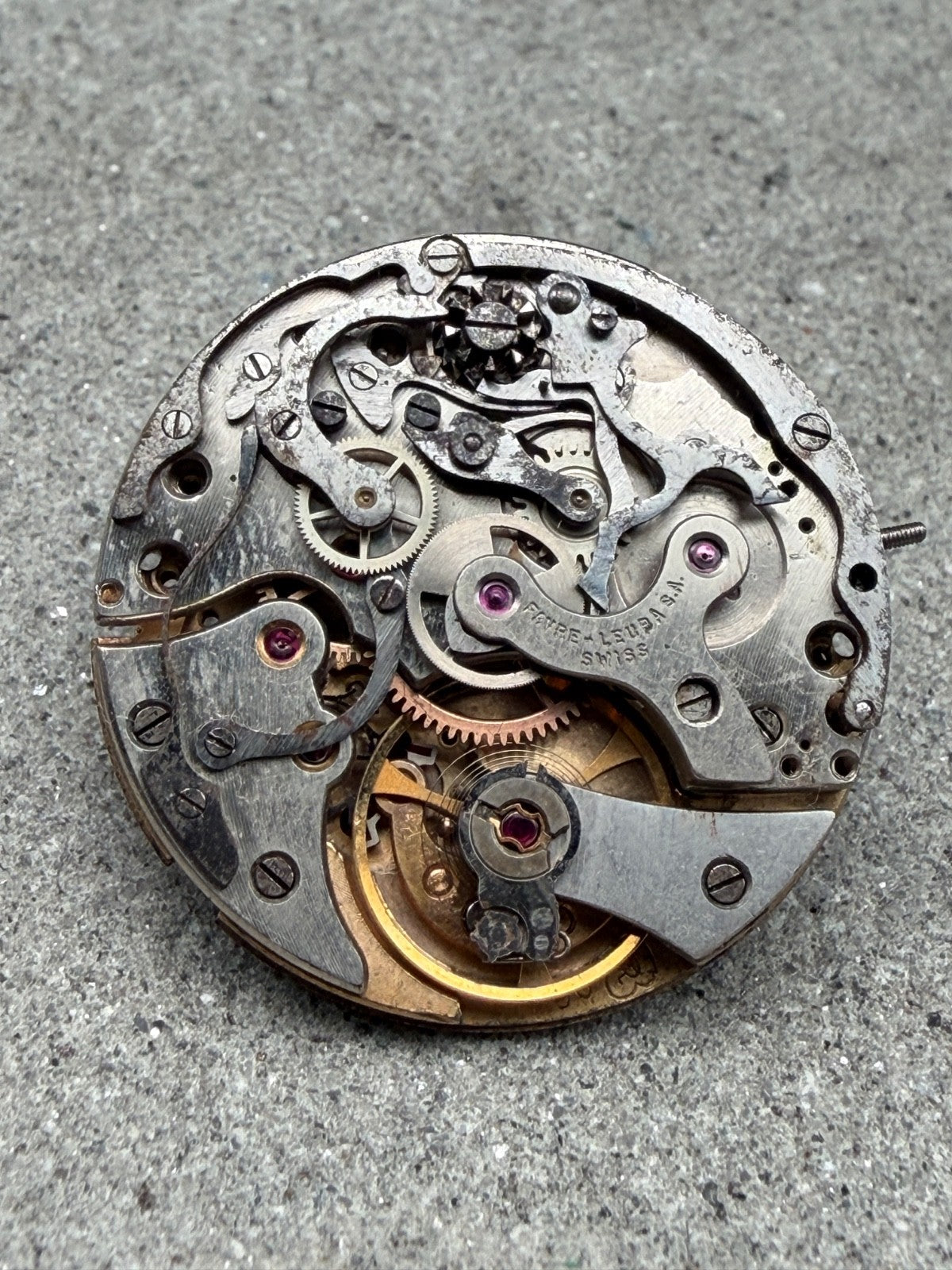 Image #1